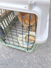 腆宠  宠物航空箱小号 猫咪航空箱猫狗 猫包猫笼外出车载猫箱狗狗托运 实拍图
