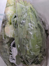 【烧烤季】金针菇150g 实拍图