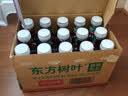 农夫山泉东方树叶黑乌龙茶500ml*15瓶无糖茶饮料0糖0脂0卡整箱装饮品 实拍图