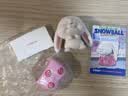名创优品（MINISO）爱宠大机密小白系列手办盲盒玩具桌面摆件送礼生日礼物男女 单盒 实拍图