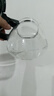 【京东物流】茶壶套装整套茶具大容量玻璃茶杯带滤网耐高温泡茶具 1000ML一壶+四杯套装【无茶盘】 实拍图