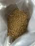 皇家幼猫奶糕 幼猫猫粮 BK34 通用粮 1-4月 2KG 实拍图