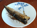 CLCEY正宗挪威进口青花鱼 鲭鱼片 挪威鲭鱼 鲜冻青花鱼片大西洋深海鱼 挪威青花鱼1kg（4-6片） 实拍图