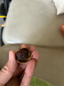 十月稻田 桂圆干 500g 带壳桂圆肉 龙眼肉干 枸杞红枣泡茶八宝粥 零食干货 实拍图