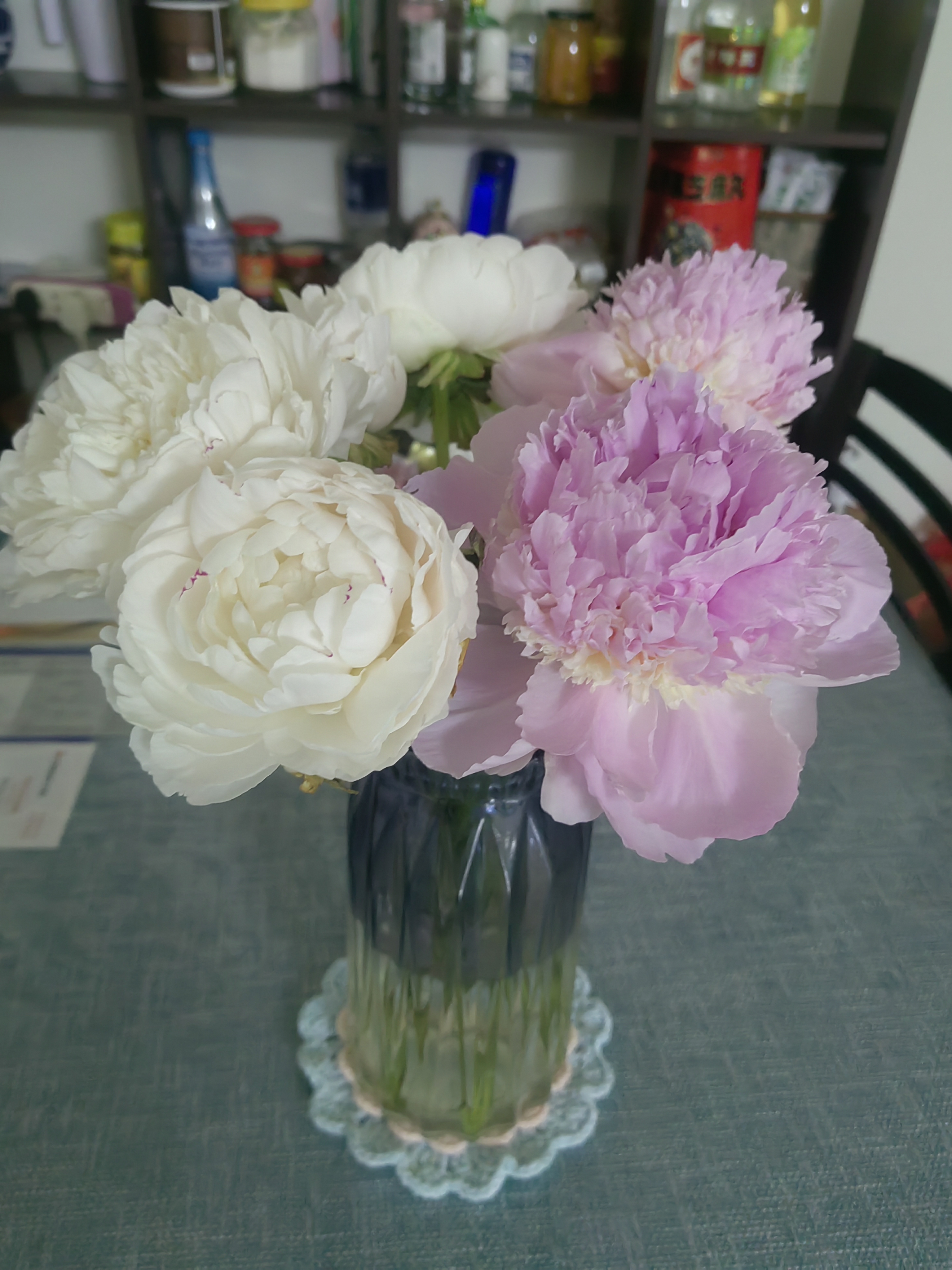 山东菏泽芍药鲜花花束重瓣大花苞基地直发鲜切花【全色系】 芍药-蓝富士【花苞/支2.5-3.0公分】 【5支】长度/支45公分以上 实拍图