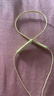 beats Flex 蓝牙无线 入耳式手机耳机【礼物】颈挂式耳机 带麦可通话 适用华为苹果 柚子黄 实拍图
