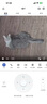 普联（TP-LINK）摄像头家用监控器 室内高清无线智能网络摄像机 360°度全景旋转云台手机APP远程查看双向语音对讲 【单镜头丨单画面】300万高清版 官方标配无卡【30天云存储体验包】 4mm 实拍图