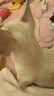 麦富迪狗粮 无谷牛肉双拼狗粮成犬小型犬比熊贵宾缓解泪痕 1.5kg 实拍图