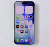 Apple/苹果 iPhone 17 Pro Max 1TB 银色 支持移动联通电信5G 双卡双待手机 实拍图
