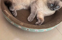 疯狂的主人 猫抓板窝超大号猫玩具猫爪板猫抓盆不掉屑猫窝碗形圆形瓦楞纸 实拍图