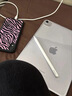 Apple/苹果 Pencil Pro 磁吸触控笔手写笔苹果笔电容笔书写绘画ipad笔 适用于iPad Pro/Air/mini机型 实拍图