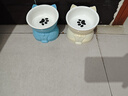 憨憨乐园猫碗陶瓷猫粮双碗斜口狗碗狗盆狗粮宠物幼猫咪吃饭食盆喝水喂食 实拍图