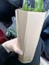 迷你富贵竹观音竹文昌竹水培植物室内客厅桌面办公室带根绿植 20支招财竹整体高度约10-15cm 带根发货 实拍图