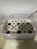 小熊（Bear）蒸蛋器 煮蛋器 家用多功能一体机 一键操作蒸鸡蛋羹神器 小型一人用 单双层一体机ZDQ-D12R3 实拍图