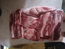 鲜京采 巴西进口原切牛肋肉2斤 牛胸腹部位肋条肉  烤肉炖煮 【真原切】 实拍图