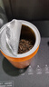 一杯香茶叶红茶正宗武夷山金骏眉500g新茶礼盒装送礼自己喝散装茗茶 实拍图