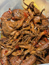 正大食品（CP）鸭腿1斤约2个生鲜冷冻 鸭卤味麻辣鸭货卤煮鸭腿鸭肉早餐生鲜 实拍图