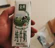 伊利【新鲜日期】金典纯牛奶早餐奶250ml*16 3.6g乳蛋白 礼盒装 3月 实拍图
