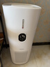 东芝（TOSHIBA）加湿器空气净化器无雾加湿净化一体机除花粉过敏源除醛除菌除敏母婴家用家用消毒杀菌大白梨Pro 实拍图
