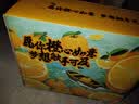 京鲜生 秭归伦晚脐橙/甜橙 铂金果 净重4.5斤 单果180g起 橙子水果礼 实拍图