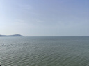 维达（Vinda）抽纸 纸巾3层加厚软抽 餐巾纸擦手纸家用卫生纸 3层 300张*30包 整箱装 实拍图