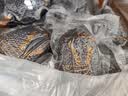 山山 活性炭新车除味除甲醛纳米矿晶3.6kg竹炭包车载炭包 实拍图