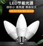 佛山照明LED尖泡水晶灯泡节能灯泡5.5W大口E27白光6500K5只装 实拍图