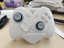 飞智冰原狼4多模版无线游戏手柄 类xbox 力调节摇杆双切扳机 switch电脑PC手机steam体感NS 仁王3 实拍图