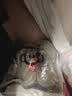 大嘴猴洞洞鞋女夏凉鞋家居户外穿eva包头沙滩男拖鞋332白女38-39 实拍图