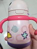 babycare儿童保温杯婴儿宝宝吸管水杯霸王龙不锈钢保温杯300ml-新旧款混发 实拍图