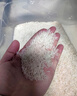 太粮鲜碾长粒猫牙米20斤箱装 大米丝苗米5kg*2 象州大米 当季新米 实拍图