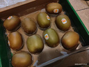 佳沛（zespri）新西兰 阳光金奇异果12粒特大果单果124-146g 猕猴桃水果礼盒 实拍图