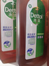 滴露（Dettol）消毒液洗衣衣物消毒水750mL 除螨杀菌混洗无忧 家居地板消毒 非84 实拍图