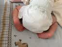babycare金山茶花纸尿裤S58片(4-8kg)新生儿婴儿尿不湿超薄透气轻柔花苞裤 实拍图