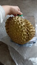 沃隆学生款每日坚果750g/30袋含叶黄素DHA混合坚果儿童营养坚果礼盒 实拍图