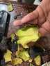 鲜级佳秘鲁进口牛油果鳄梨新鲜水果微催熟爽滑细腻宝宝辅食单果水果当季 实惠超值 单果130-160g 6枚 实拍图