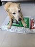 皇家狗粮 成犬粮 通用犬型 CC通用狗粮12月以上 8KG【成犬通用】 实拍图