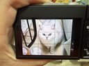松下ZS99 （Panasonic）便携式长焦数码口袋相机 银色 实拍图
