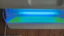 飞利浦（PHILIPS）灭蚊灯灭蝇灯 MY-216商用家用静音灭蚊器驱蚊器粘捕式灭蚊诱捕蚊虫灭蚊蝇灯灭蚊虫灯餐饮餐厅饭店捕蚊神器 实拍图