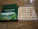 京鲜生 无抗保洁鲜鸡蛋30枚/盒 健康轻食 礼盒送礼 1.5kg/盒 源头直发 实拍图