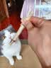 憨憨乐园二合一逗猫激光笔猫玩具逗猫棒猫咪幼猫玩具逗猫神器红外线指示器 实拍图