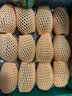 佳沛（zespri）新西兰 阳光金奇异果12粒特大果单果124-146g 猕猴桃水果礼盒 实拍图