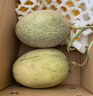 京鲜生 海南哈密瓜 西州蜜/西周蜜 1粒 单果2.5斤起 生鲜水果 实拍图