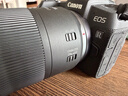 佳能（Canon）RF 100-400mm F5.6-8 IS USM 超远摄变焦镜头【滤镜防护套装】 实拍图