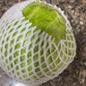 山东新鲜甘蓝包菜卷心菜圆白菜新鲜嫩绿莲花白现摘现发早餐减脂 新鲜包菜 2.8斤净重 人工挑拣 实拍图