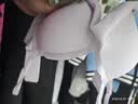 有棵树内衣女士软支撑聚拢收副乳无痕莫代尔亲肤吸湿排汗大胸显小文胸 实拍图
