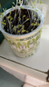 IAM City Farmer生菜罐头小盆栽家庭种植diy植物罐头绿植男孩女孩生日礼物10063 实拍图