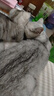 卫仕 五拼冻干全价全阶段猫粮 猫干粮 成猫幼猫高蛋白粮 山海盛宴 6kg 实拍图