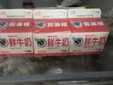 香满楼 屋仔盒装鲜牛奶组装 236ml*6盒 3.3g/100ml乳蛋白巴氏杀菌早餐奶 实拍图