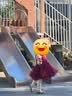 尼多熊打底裤女童夏季儿童连裤袜宝宝长筒袜夏季网眼宝宝袜子白色 实拍图